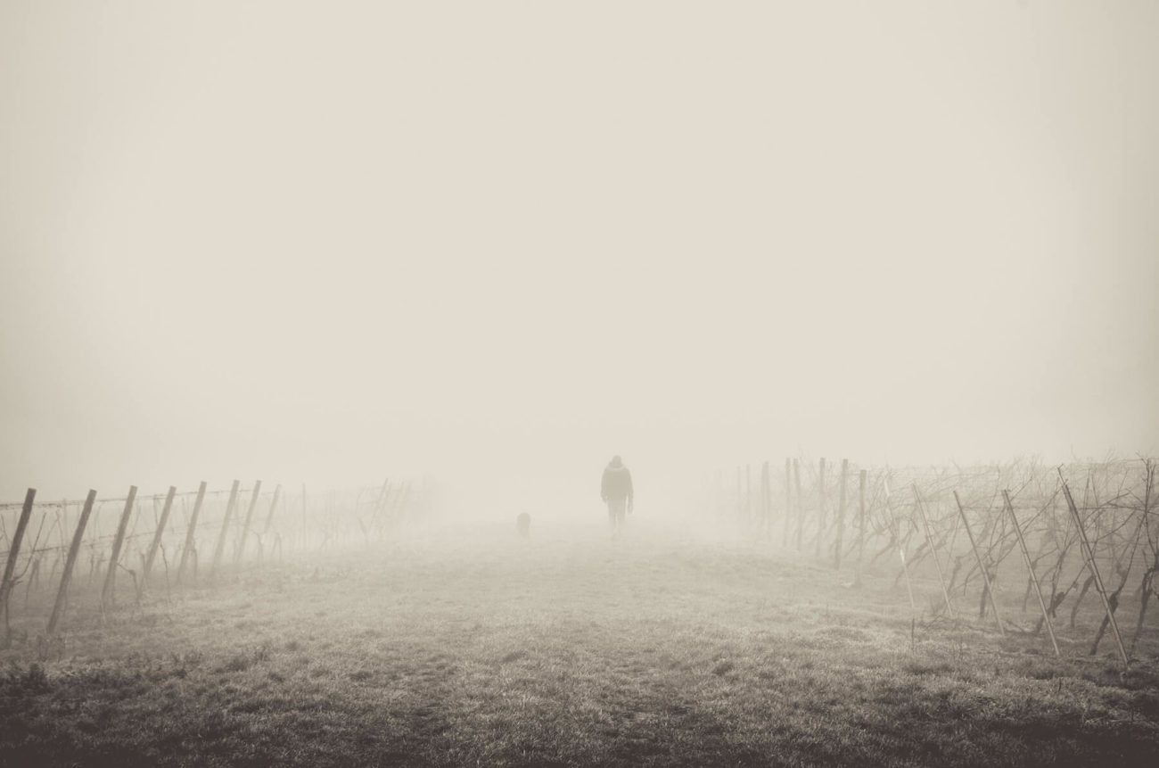 Spaziergänger im Nebel